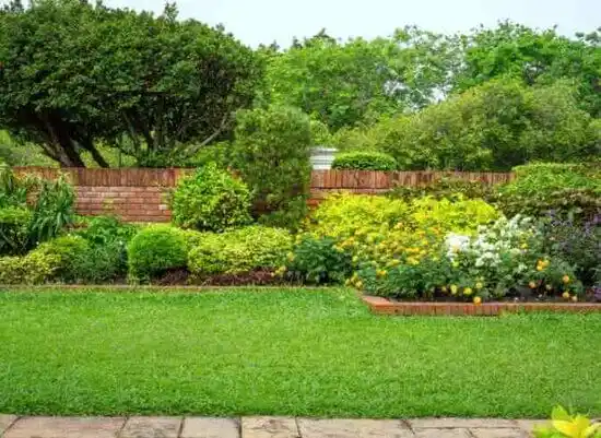 landscaping services Cedar Bluffs